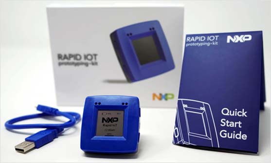 Комплект Rapid IoT Prototyping Kit (P/N: SLN-RPK-NODE)
