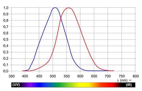 Спектральная чувствительность человеческого глаза при дневном (красная линия) и ночном (синяя линия) освещении