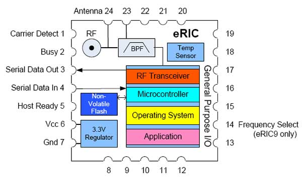 Структурная схема модуля eRic